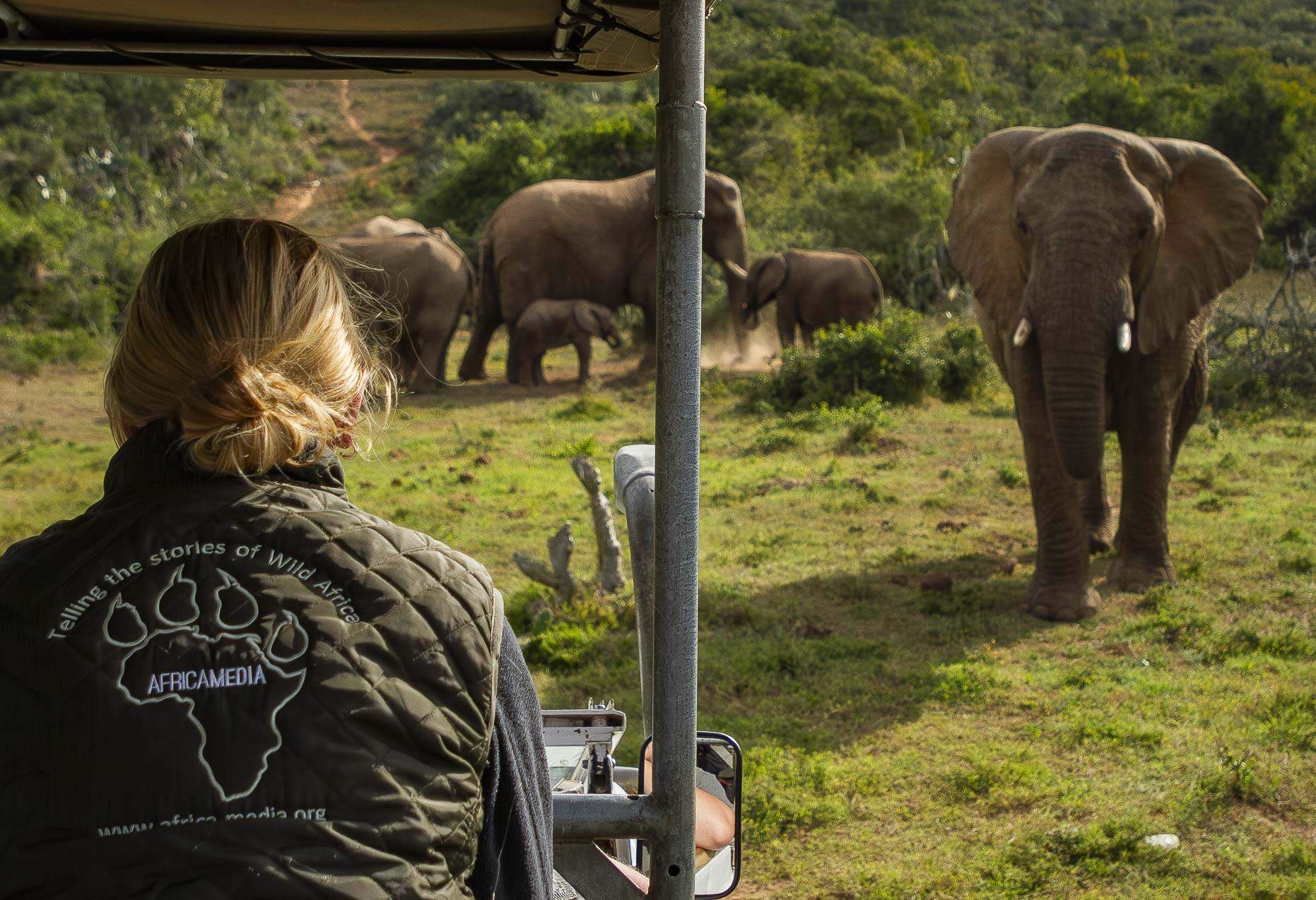 Wildlife Filmmaking