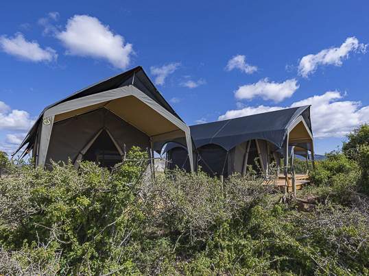 Safari Camp