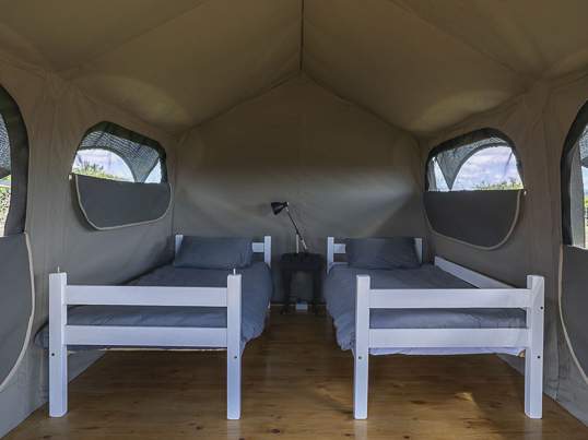 Safari Camp