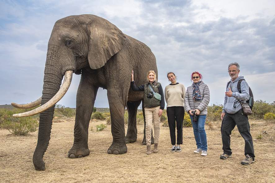 Elephant students instructor photo